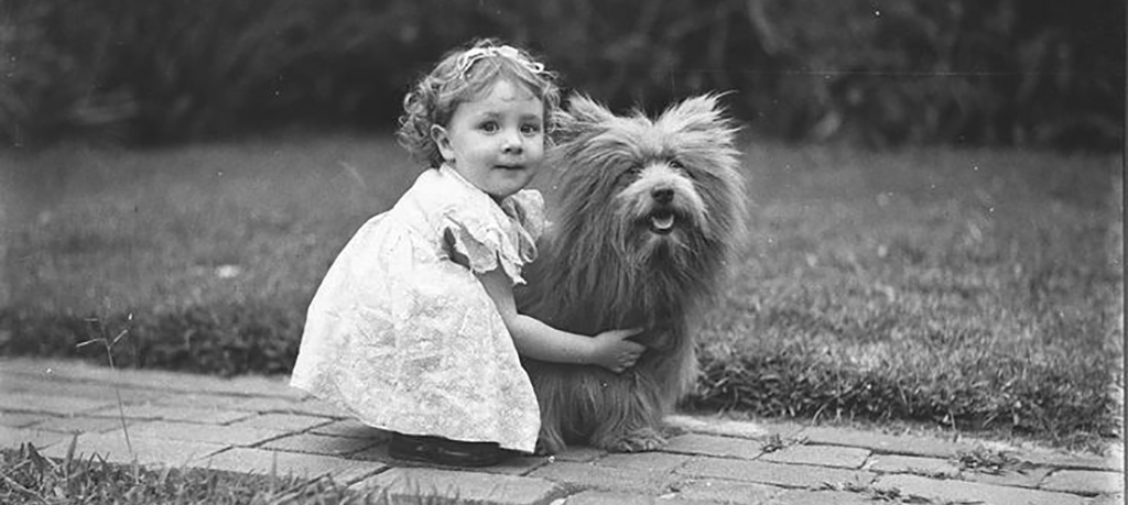 оживленное фото
